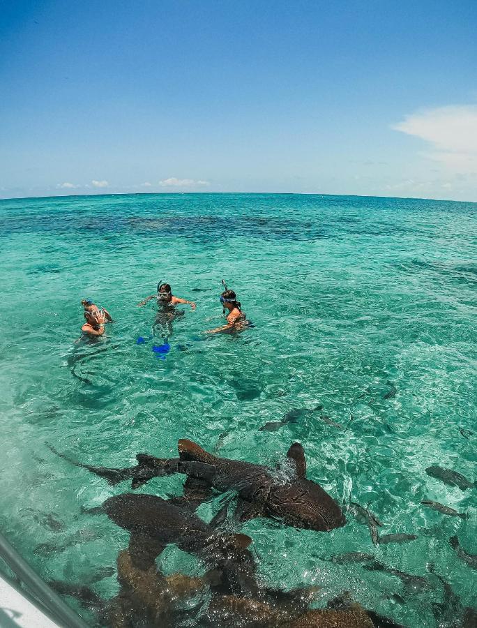 Bella'S Backpackers Hostel Caye Caulker Exteriér fotografie